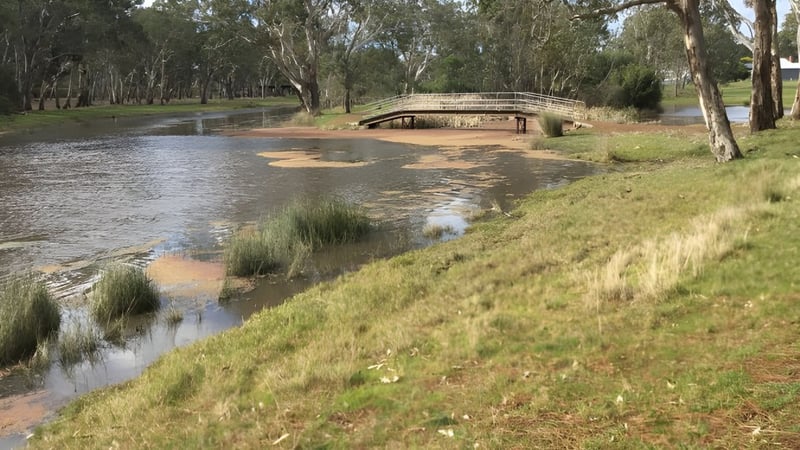 Ein ruhiger Bach mit einer Holzbrücke und grasbewachsenen Uferbereichen auf dem Gelände der Cavendish Road State High School.