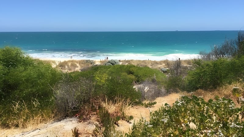 Natürliche Küstenlandschaft mit türkisfarbenem Meer und einer Vegetationszone nahe der Centenary Heights State High School.
