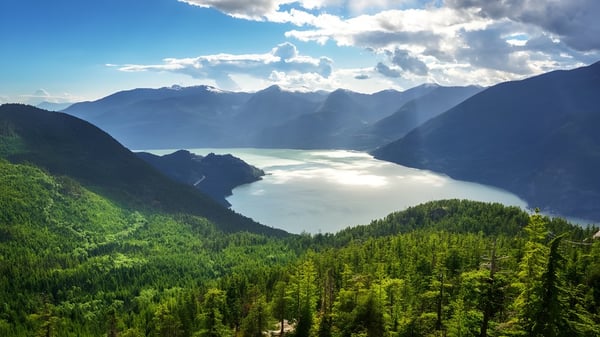 Ein grüner Wald im Vordergrund und ein See mit schneebedeckten Bergen sind zu sehen.