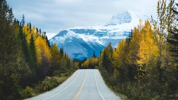 Eine geschwungene Straße führt durch einen bunten Herbstwald mit Blick auf einen schneebedeckten Berg in der Ferne bei der Charles Bloom Secondary School.
