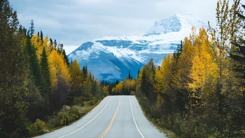 Eine geschwungene Straße führt durch einen bunten Herbstwald mit Blick auf einen schneebedeckten Berg in der Ferne bei der Charles Bloom Secondary School.