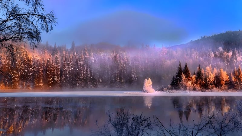 Ein ruhiger See mit schneebedeckten Bäumen in der Nähe der Cité des Jeunes A.-M.-Sormany.