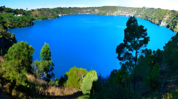 Ein leuchtend blauer See umgeben von grünen Wäldern auf dem Gelände der Clare High School.