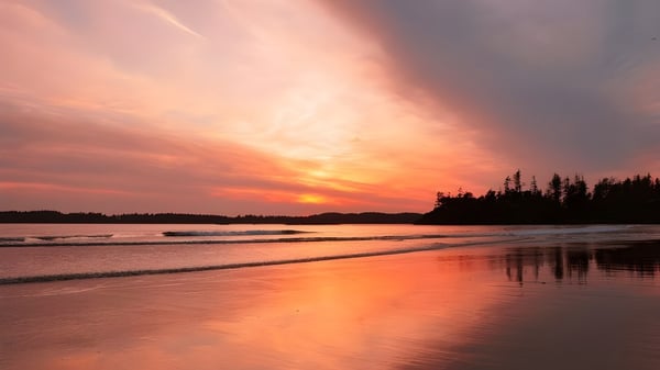 Sonnenuntergang über dem ruhigen Strand nahe der Claremont Secondary School mit reflektierendem Wasser und Baum-Silhouetten.