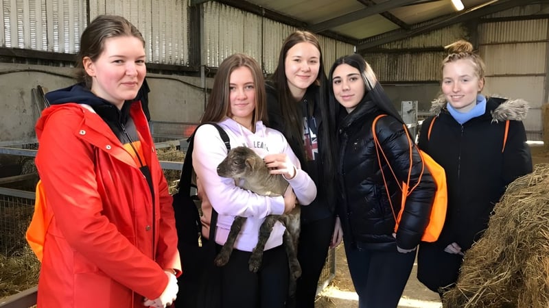 Eine Gruppe junger Schülerinnen der Colaiste Mhuire (Tourmakeady) steht in einem Stall, wobei eine ein kleines Tier hält.
