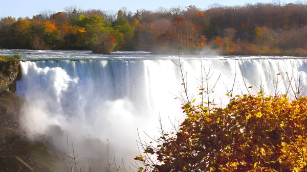 Ein beeindruckender Wasserfall inmitten eines herbstlich bunten Waldes auf dem Gelände des Collingwood Collegiate Institute.