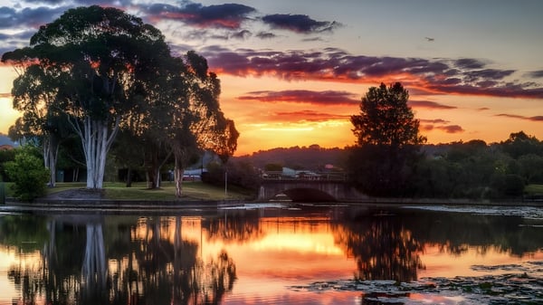 Ein ruhiger See mit Trauerweide und Uferpflanzen spiegelt den Sonnenuntergang in der Nähe der Corinda State High School wider.