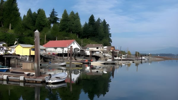 Ein ruhiger Wasserblick mit bunten Gebäuden und Booten nahe der Cowichan Secondary School im grünen Waldgebiet.