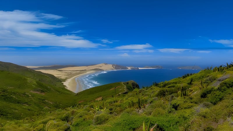 Ein grünes hügeliges Landschaftspanorama mit Blick auf das Meer vor dem Cromwell College.