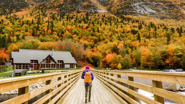 Ein hölzerner Steg führt über ein Tal mit herbstlicher Laubfärbung auf dem Gelände der Crowsnest Consolidated High School.