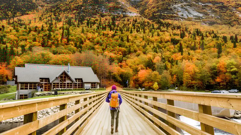 Ein hölzerner Steg führt über ein Tal mit herbstlicher Laubfärbung auf dem Gelände der Crowsnest Consolidated High School.
