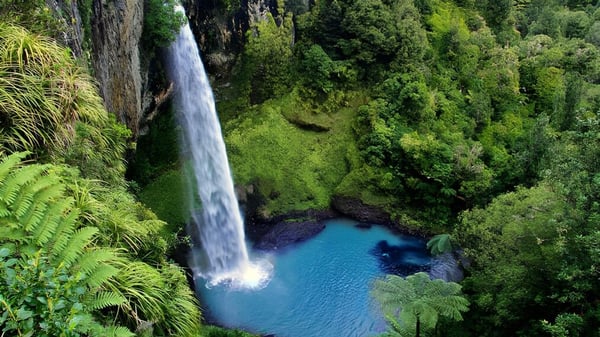 Ein Wasserfall fällt an einer grünen Felsklippe in einen türkisen Pool, umgeben von tropischem Wald auf dem Gelände des Cullinane College.