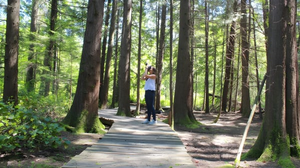 Eine Person geht auf einem hölzernen Steg durch einen grünen Wald auf dem Gelände der Delta Secondary School.