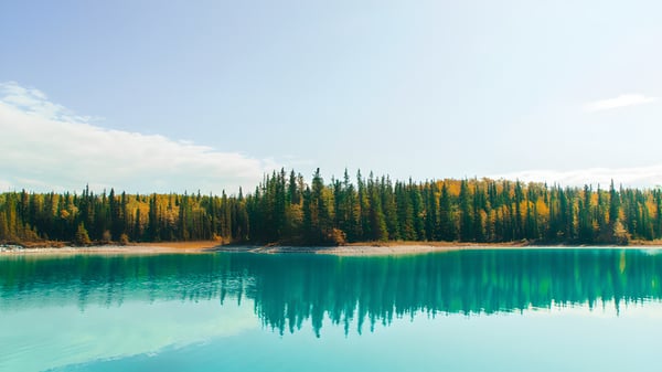 Ein ruhiger See mit herbstlich buntem Wald spiegelt die Landschaft auf dem Gelände der Delview Secondary School wider.