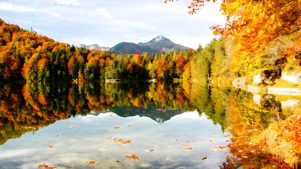 Ein ruhiger Bergsee mit herbstlicher Laubfärbung und Bergspiegelung in der Nähe der Dr. Elliott School.