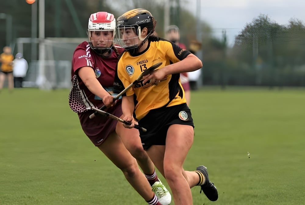 Zwei Schülerinnen des Duiske College spielen ein Sportspiel auf einem mit Bäumen umgebenen Rasenfeld.