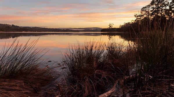 Der ruhige See mit umliegender Vegetation spiegelt den Sonnenuntergang und befindet sich auf dem Gelände des Earnshaw State College.