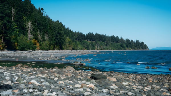 Eine felsige Küste mit dichtem Wald im Hintergrund an einem klaren Tag nahe der École Au-coeur-de-l'île.