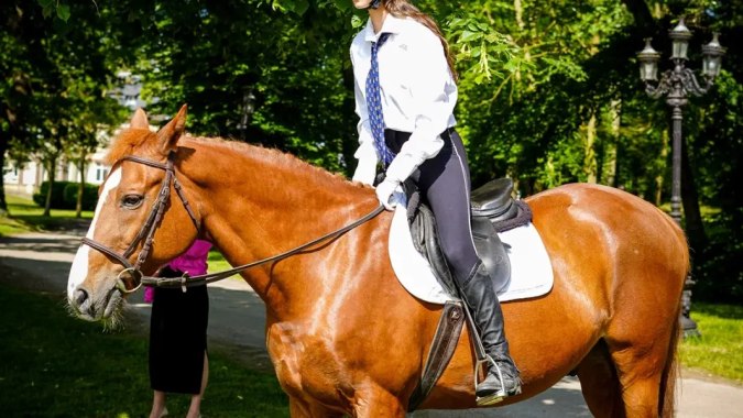 Eine Reiterin sitzt auf einem kastanienbraunen Pferd im grünen Park auf dem Gelände der Ecole des roches.