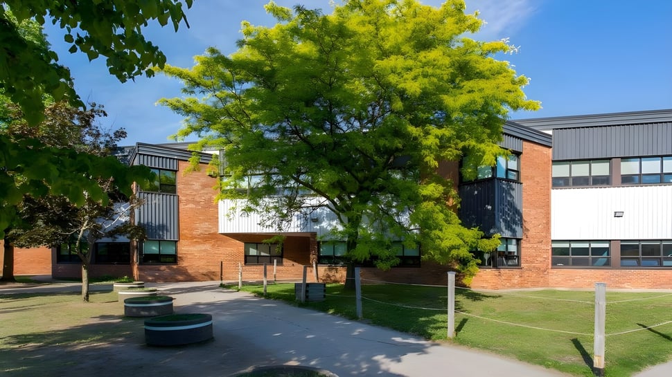 Ein Baum mit gelben Blättern steht im Garten der École du Bois-Joli vor Backsteingebäuden unter blauem Himmel.