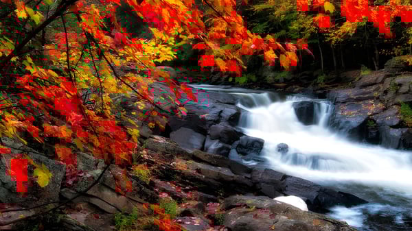 Ein Wasserfall fließt durch eine herbstliche Landschaft mit buntem Laub auf dem Gelände der École Marie-Esther.