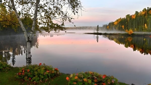 Ein herbstlicher See mit bunten Bäumen und einer kleinen Insel vor der École Mathieu-Martin.