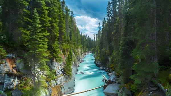 Ein türkisfarbener Fluss fließt durch einen bewaldeten Canyon mit hohen Felsklippen bei der Edward Milne Community School.
