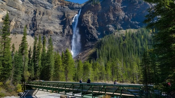 Ein Wasserfall fließt an einer hohen Klippe mit grünem Bewuchs und einer Holzbrücke im Vordergrund auf dem Gelände der Elwood Regional High.