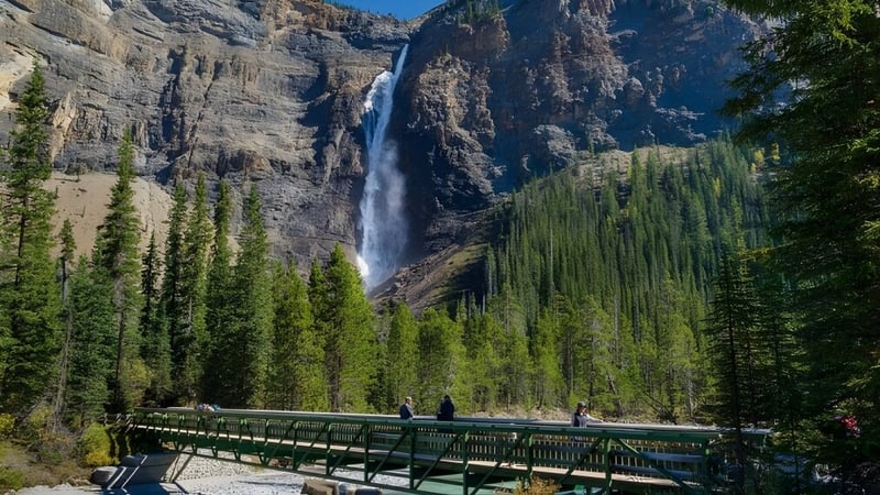 Ein Wasserfall fließt an einer hohen Klippe mit grünem Bewuchs und einer Holzbrücke im Vordergrund auf dem Gelände der Elwood Regional High.