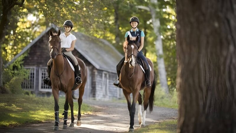 Zwei Reiter mit Pferden auf einem Waldweg auf dem Gelände der The Ethel Walker School.