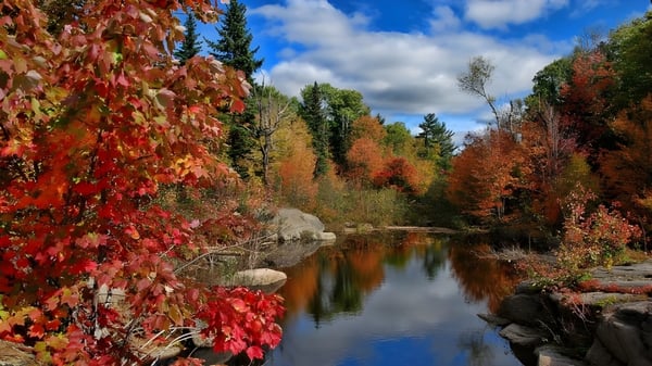 Ein ruhiger Teich mit der Spiegelung bunter Herbstbäume auf dem Campus des Evan Hardy Collegiate.