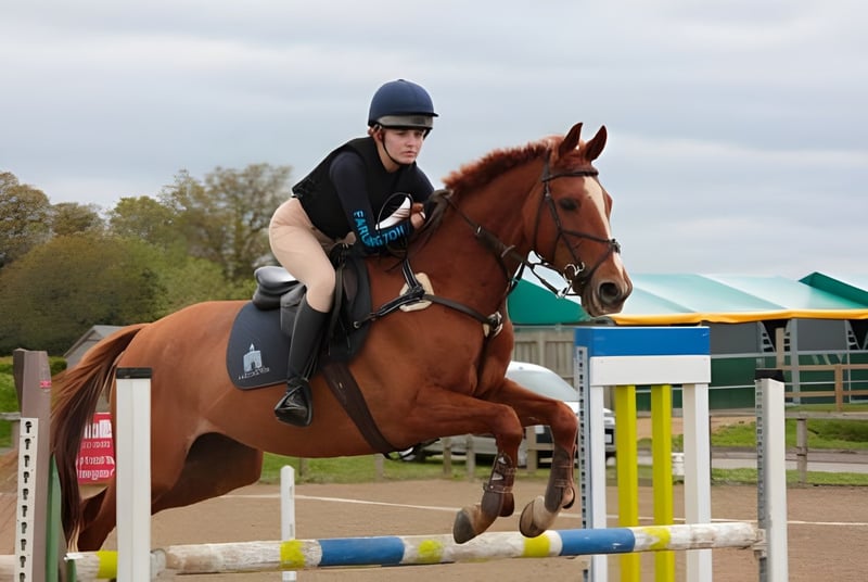 Eine Schülerin der Farlington School reitet auf einem braunen Pferd und springt über ein farbiges Hindernis im Außenbereich.