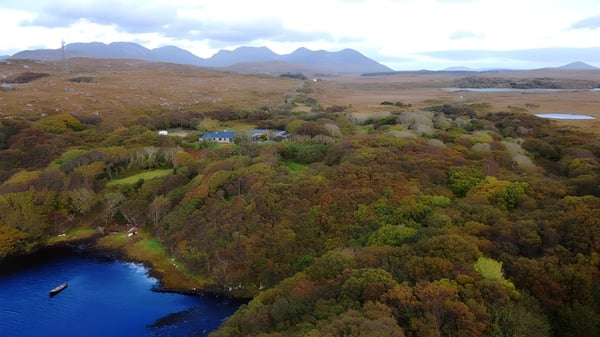 Ein herbstlich gefärbter Wald mit einem gewundenen Pfad vor der Ferny Grove State High School.