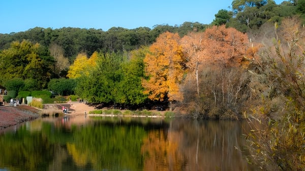 Ein ruhiger See umgeben von herbstlichem Laub ist in der Nähe der Findon High School zu sehen.