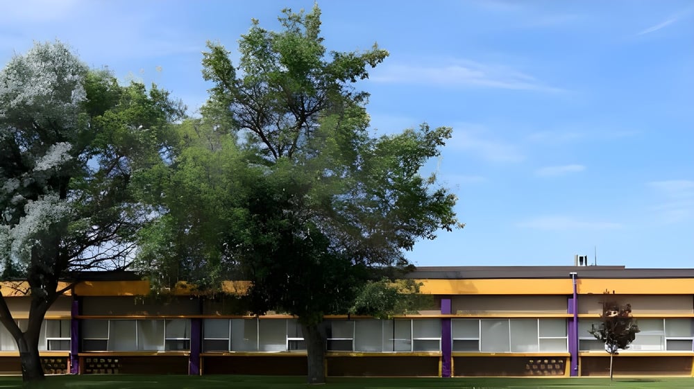 Das moderne Schulgebäude der Foremost School ist von einem grünen Blätterdach umrahmt und vor blauem Himmel zu sehen.