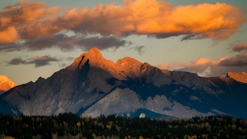 Schneebedeckte Berge ragen hinter einem bewaldeten Landschaftsbild vor dem Campus der Forestburg School empor.