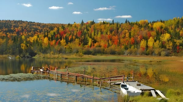 Ein ruhiger See mit herbstlichem Wald und einem Steg zeigt die Naturlandschaft nahe der Fraser Heights Secondary School.