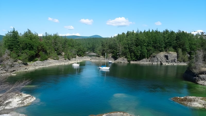 Ein türkisfarbener See mit umliegenden Nadelwäldern und Felsen unter einem wolkenverzierten Himmel nahe der Garibaldi Secondary School.