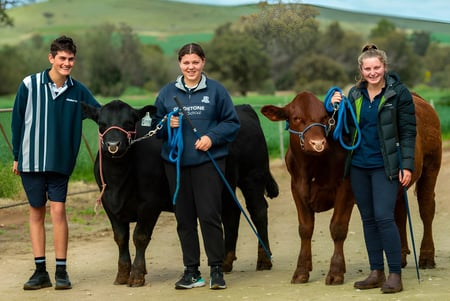 Drei Schüler der Gladstone High School stehen neben zwei Pferden in ländlicher Umgebung mit Hügeln und Bäumen.