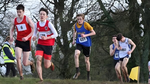 Schülerinnen und Schüler der Glenstal Abbey School laufen in einem Crosslauf durch ein bewaldetes Gebiet mit kahlen Bäumen.
