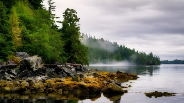 Ein ruhiger See mit dichtem Wald und felsigem Ufer in der Nähe der Grandview Heights Secondary School.