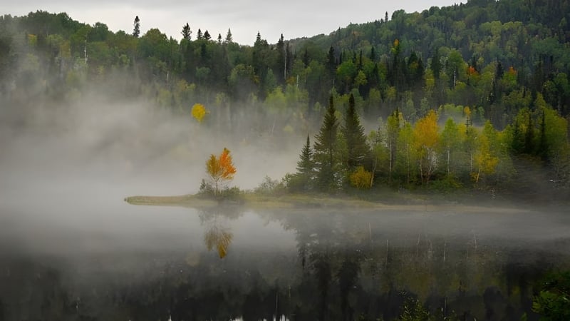 Ein ruhiger See mit umliegendem Mischwald in der Nähe der Gravenhurst High School bei nebligem Wetter.