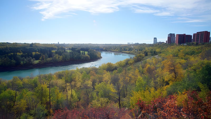 Eine Flusslandschaft mit buntem Herbstlaub und einer fernen Stadt ist in der Umgebung der Harry Ainlay High School zu sehen.