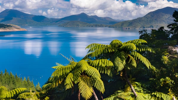 Ein ruhiger See mit grünen Bergen und Farnen im Vordergrund auf dem Gelände der Hastings Girls' High School.