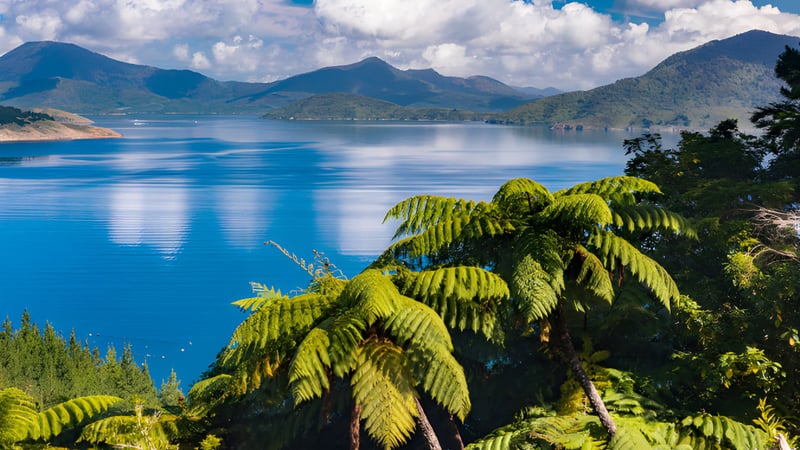Ein ruhiger See mit grünen Bergen und Farnen im Vordergrund auf dem Gelände der Hastings Girls' High School.