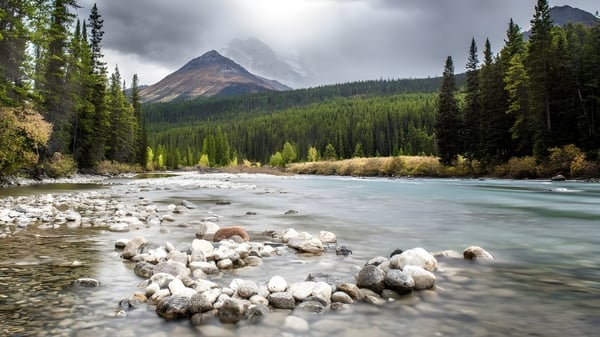 Ein Bergbach fließt durch ein bewaldetes Tal in der Nähe der Hay Lakes School.