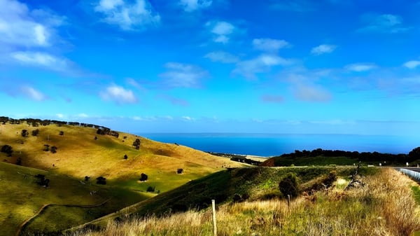 Landschaft mit Hügeln und Meer im Hintergrund nahe der Heathfield High School.