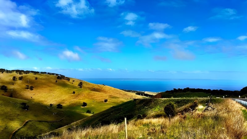 Landschaft mit Hügeln und Meer im Hintergrund nahe der Heathfield High School.