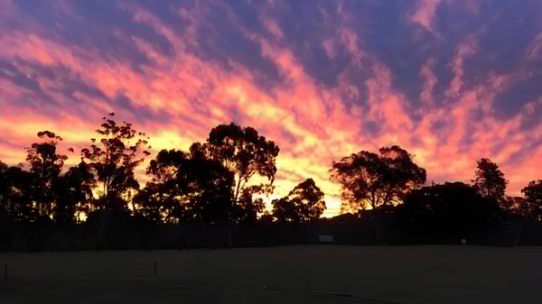 Ein farbenprächtiger Sonnenuntergang mit orange und rosa Wolken über Bäumen auf dem Gelände der Helensvale State High School.