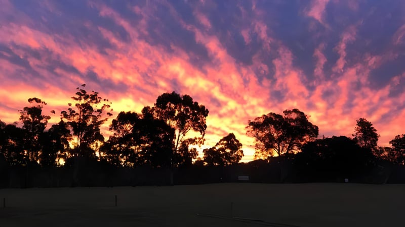Ein farbenprächtiger Sonnenuntergang mit orange und rosa Wolken über Bäumen auf dem Gelände der Helensvale State High School.
